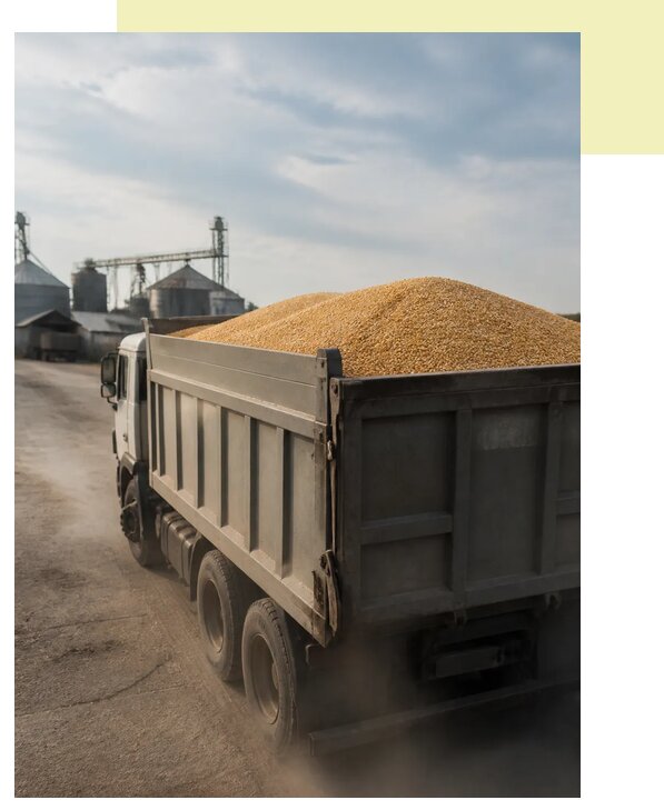 Перевозка сельхозпродукции навалом в Саратов по цене от 3070 р. | Агросервис-Срт
